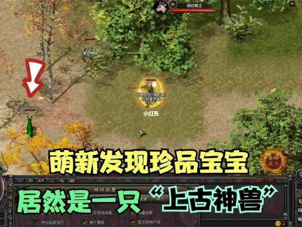 仿盛大1.76版本之传奇私服属性多少爆点
